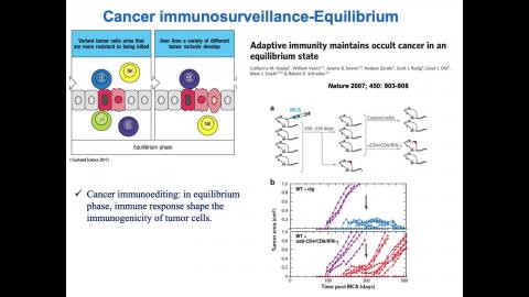 109_MT_Cancer immunity_2.mov