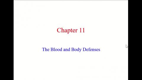 The blood and body defenses-Part 1.mp4
