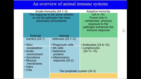The blood and body defenses-Part 2.mp4