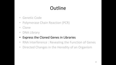 BioChem05262021-01.mp4