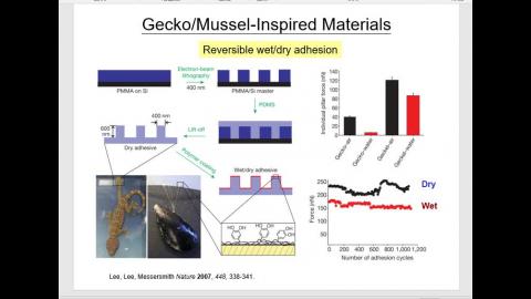 Polypeptide_0524.mp4