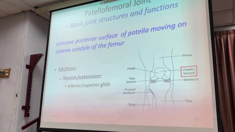 4. Patella inf. sup. med. lat. glide.mp4