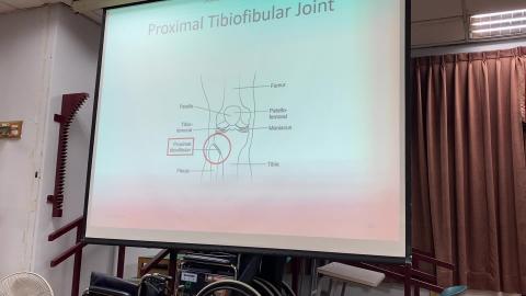 5. Tibiofibular joint.mp4