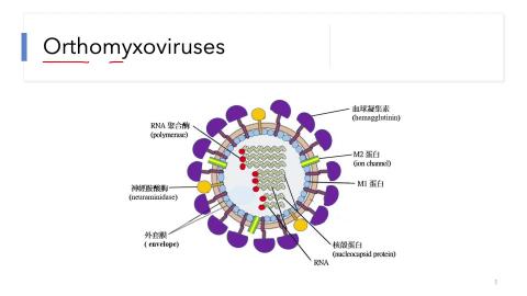 Advance Virology - Influenza virus  2021 online.mov