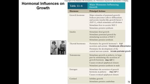 Endocrine Shian-Jang Yan 20210526 class5_6-1.mp4