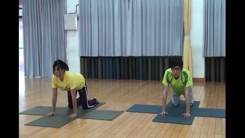 7.背部運動