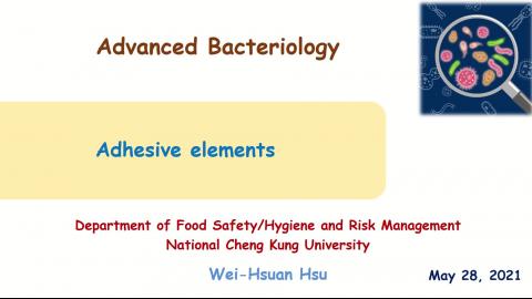 Advanced bacteriology-Adhesive elements-徐瑋萱.mp4