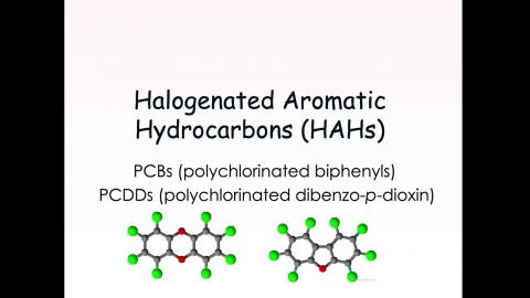 109-ET-20210527-2.mov