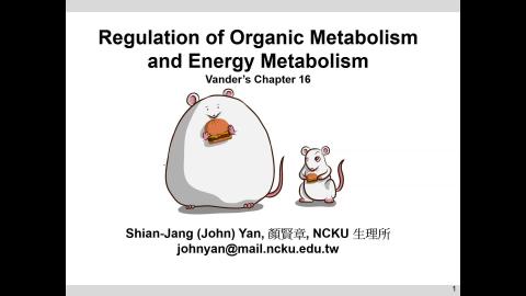 Endocrine  Shian-Jang Yan 20210527 class7_8.mp4