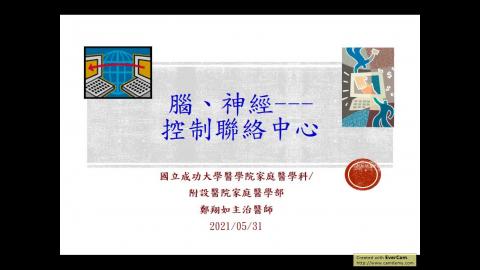20210531醫學院通識課_腦與神經_鄭翔如