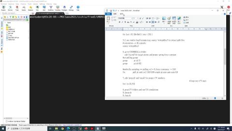 MolSimulation-UmbrellaSampling-03.mp4