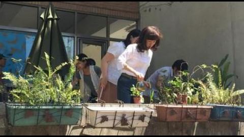 【影音】成大校長重視登革熱防疫 與師生清理校園
