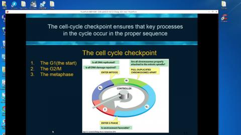 2021-05-27 17-54-15.mp4