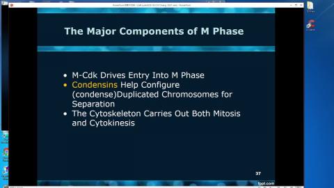 2021-05-27 21-01-17.mp4