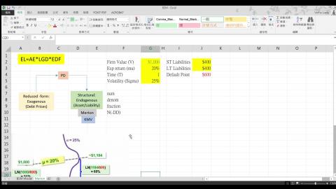 CH09 Merton - Excel.mp4
