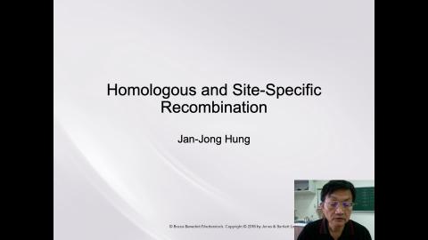 Repair System 2022-hung jj online.mov