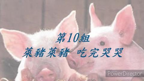 1092TIDL(課調老師:張雅雯教授)_第10組洪聖斌、張皓瑾、莊博霖