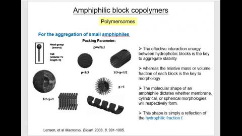 Polypeptide_0528.mp4