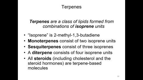 Lipid-04-Membrane-01.mp4