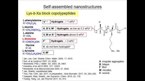 Polypeptide_0531.mp4