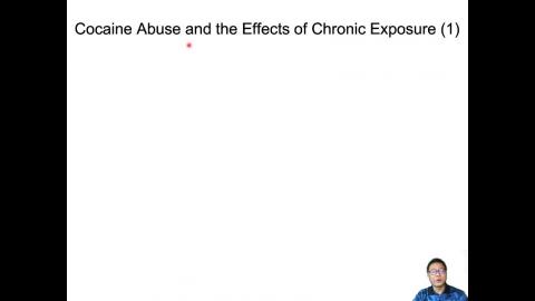 神經心理藥物學 Ch12 神經興奮劑 (2021-06-02,Part 2)