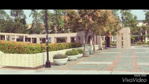 「手機拍片實作工作坊」:成大圖書館之我所見