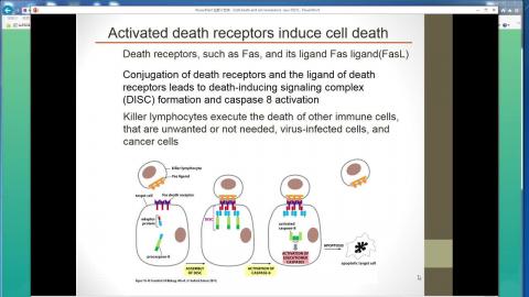 2021-06-02 12-12-45.mp4