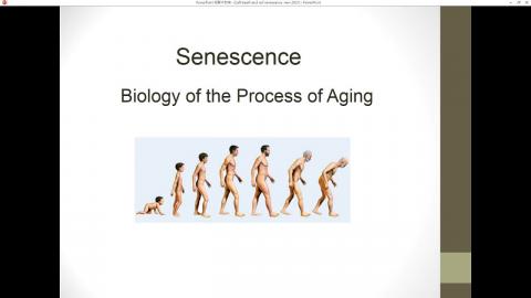 2021-06-01 15-00-18.mp4