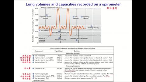 Respiratory-video-Part 2.mp4