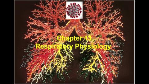 Respiratory-video-Part 1.mp4