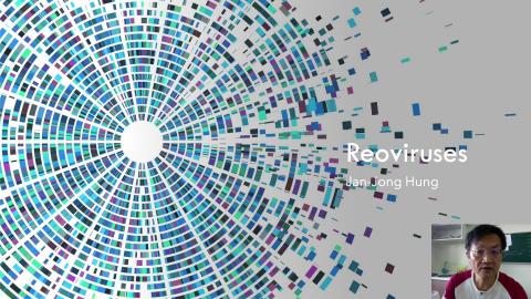 Virology part 3-1.mov