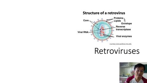 Virology part 3-2.mov