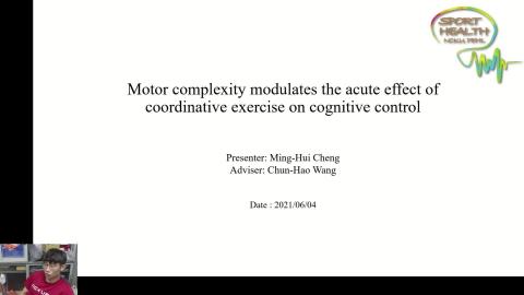 MinghuiSeminar0604.wmv