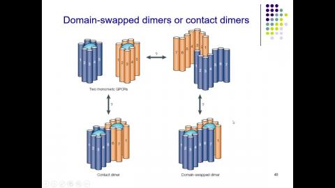 20210601分子細胞學-呂佩融老師-3