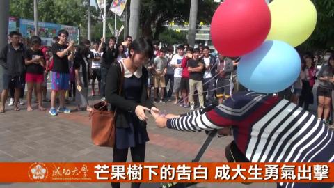 【影音】芒果樹下的告白  成大生勇氣出擊