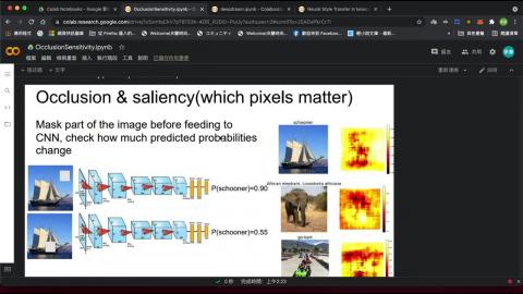 OcclusionSensitivity.mov