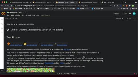 deepdream_and_Neural Style Transfer.mov
