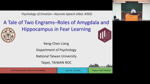 A Tale of Two Engrams - Roles of Amygdala and Hippocampus in Fear Learning