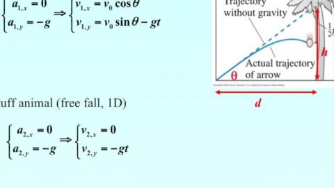 Analysis: the stuff animal and a bullet