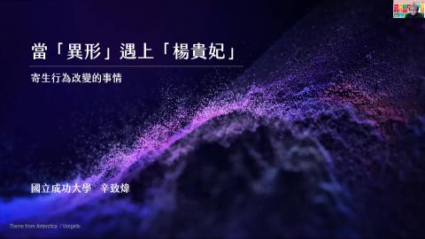 當「異形」遇上「楊貴妃」.mp4