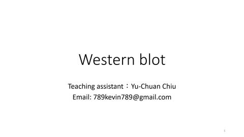 week15 Western blot analysis.mp4