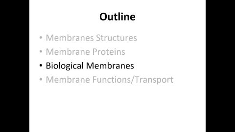 Membrane-04
