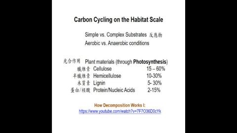 20210427上課錄影.mp4