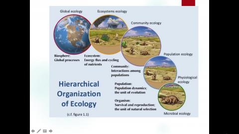 生態學 Ch18_2-1.mov