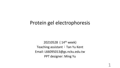 week14 SDS-PAGE_ electrophoresis and transfer block OW.mp4