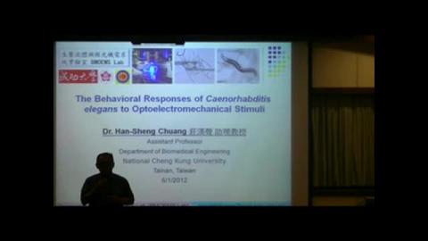 線蟲對光機電刺激的多重行為反應