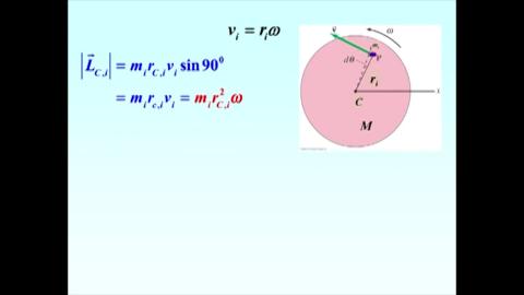 Orbital and spin angular momentum