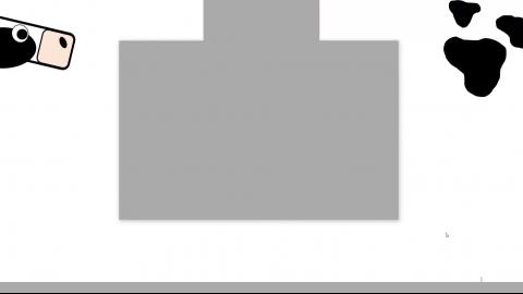 生物高分子 第十組期末報告