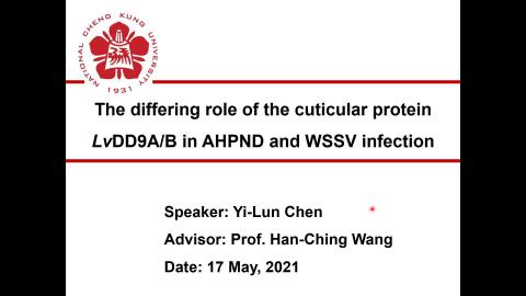 1.陳怡綸-論文初報.mp4