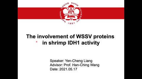 3.梁晏甄-論文初報.mp4